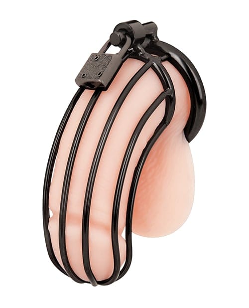 Blue Line - Prisoner Stainless Steel Chastity Cage (Black) BL1017 CherryAffairs