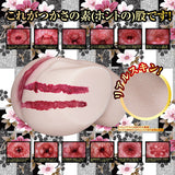 NPG - True Real 2 Hole Intercrural Sex Tsukasa Aoi Onahole Masturbator 4.5kg (Beige) NPG1244 CherryAffairs