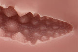 Tomax - Romanesco Male Masturbator Onahole CherryAffairs