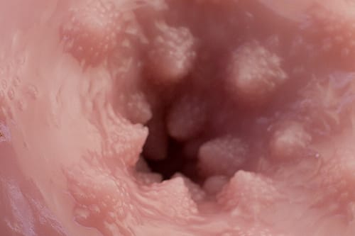 Tomax - Romanesco Male Masturbator Onahole CherryAffairs