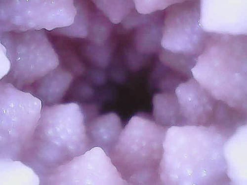 Tomax - Romanesco Male Masturbator Onahole CherryAffairs