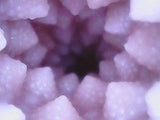 Tomax - Romanesco Male Masturbator Onahole CherryAffairs