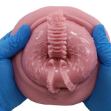 Tomax - Virgo Liber Male Masturbator Onahole CherryAffairs