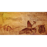 Tomax - Muses Kokalo Very Soft Masturbator Onahole (Beige)    Masturbator Vagina (Non Vibration)